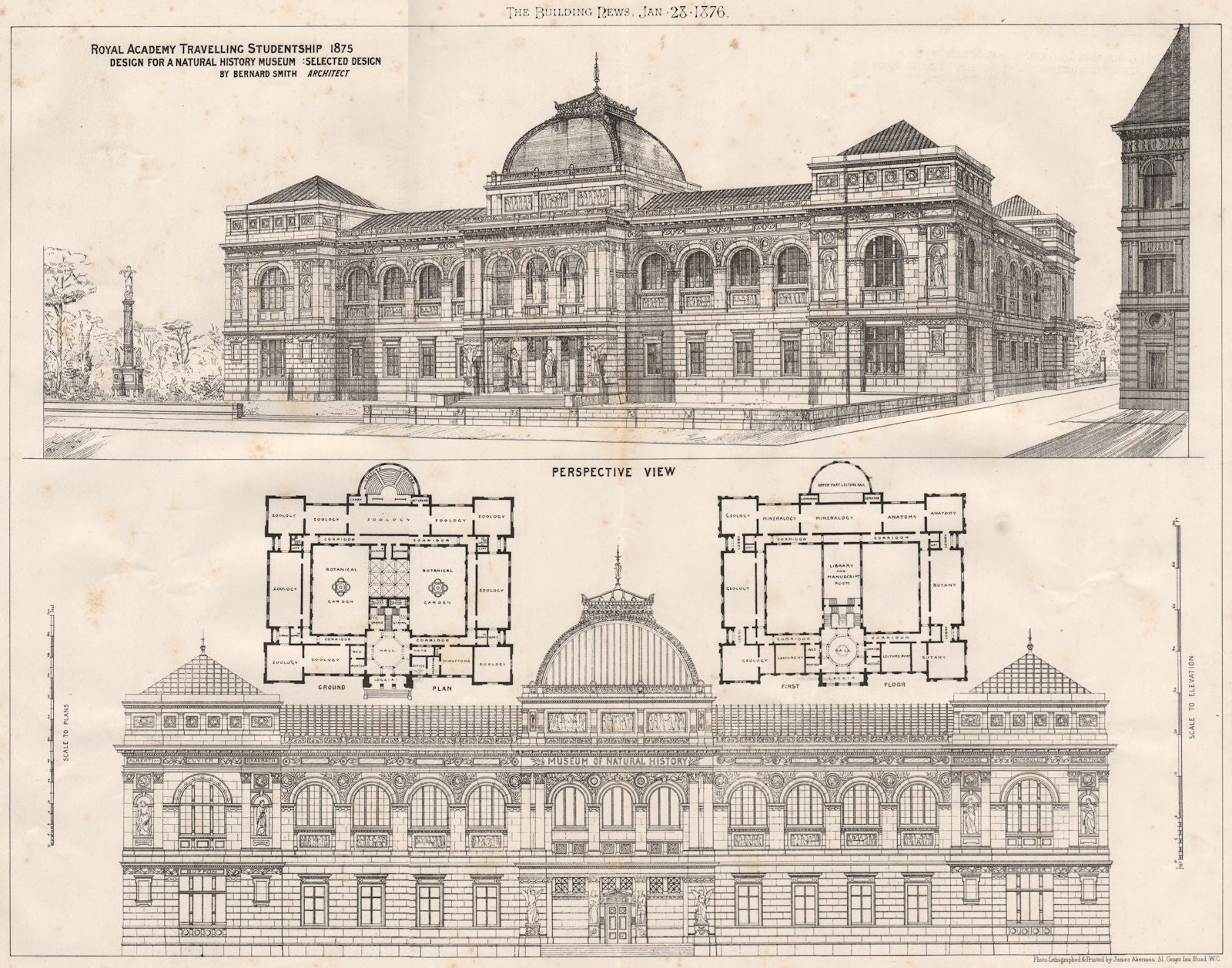 Design for a Natural History Museum by Bernard Smith, Architect 1876 old print